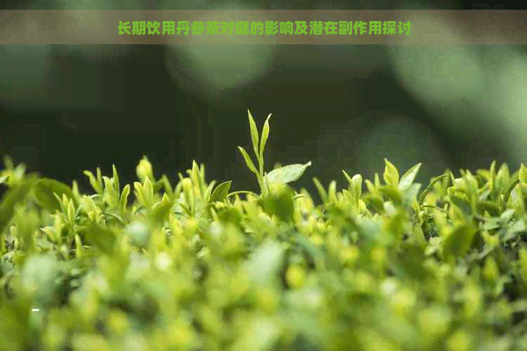 长期饮用丹参茶对健的影响及潜在副作用探讨