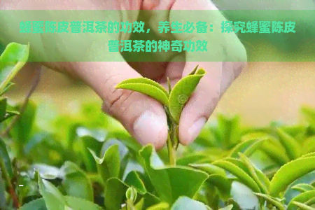 蜂蜜陈皮普洱茶的功效，养生必备：探究蜂蜜陈皮普洱茶的神奇功效