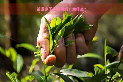 茶喝多了会胃疼吗？为什么？