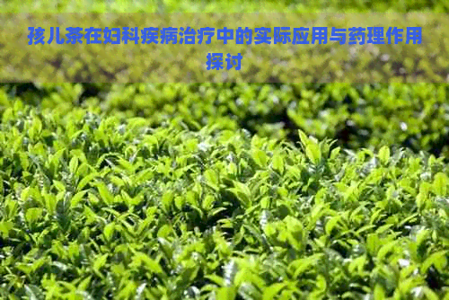 孩儿茶在妇科疾病治疗中的实际应用与药理作用探讨