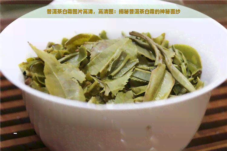 普洱茶白霜图片高清，高清图：揭秘普洱茶白霜的神秘面纱