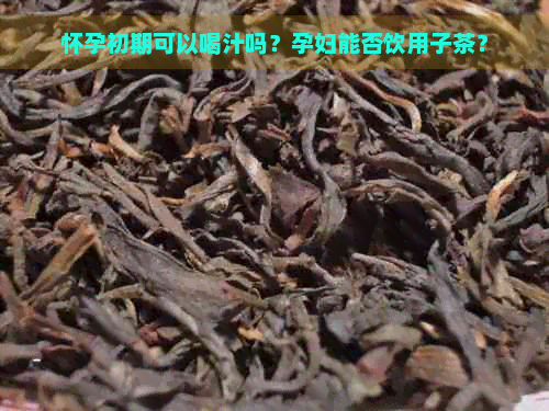 怀孕初期可以喝汁吗？孕妇能否饮用子茶？