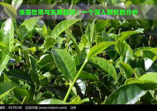 浓茶饮用与失眠症状：一个深入研究的分析