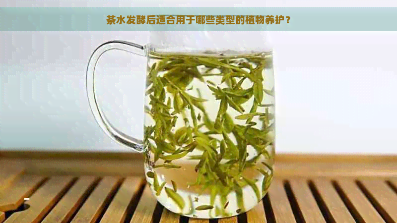 茶水发酵后适合用于哪些类型的植物养护？