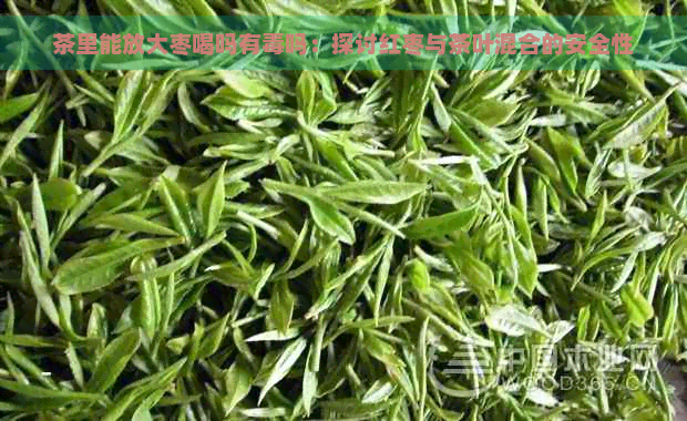 茶里能放大枣喝吗有吗：探讨红枣与茶叶混合的安全性