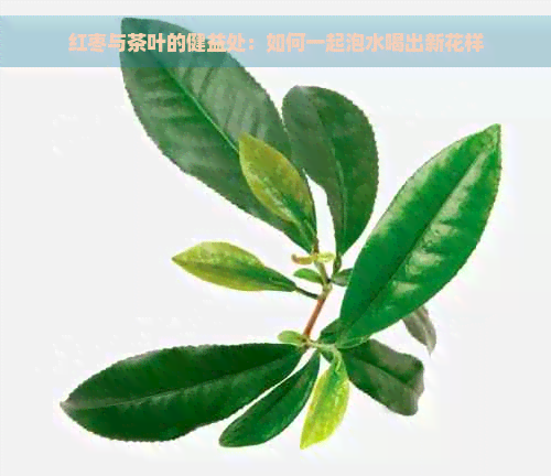 红枣与茶叶的健益处：如何一起泡水喝出新花样