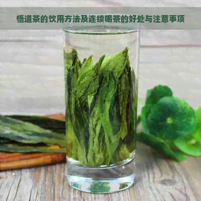 悟道茶的饮用方法及连续喝茶的好处与注意事项