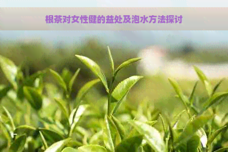 根茶对女性健的益处及泡水方法探讨