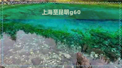 上海至昆明g60