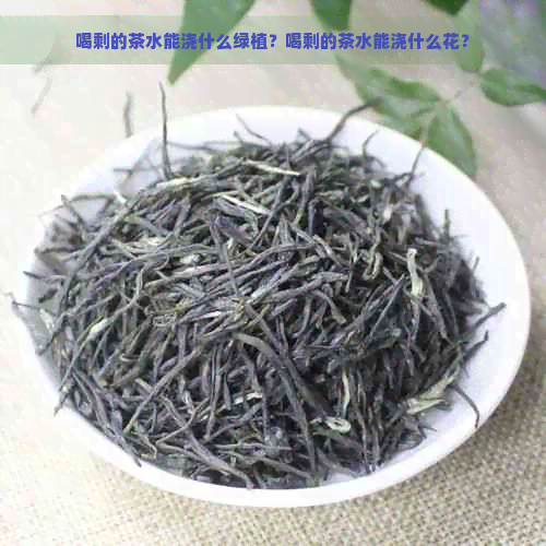 喝剩的茶水能浇什么绿植？喝剩的茶水能浇什么花？