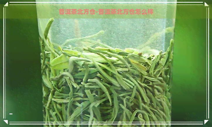 普洱茶北方仓-普洱茶北方仓怎么样