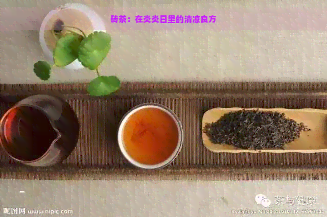 砖茶：在炎炎日里的清凉良方