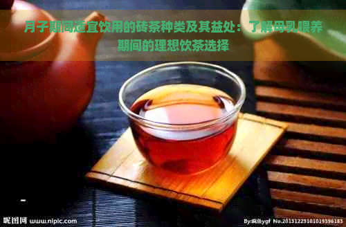 月子期间适宜饮用的砖茶种类及其益处：了解母乳喂养期间的理想饮茶选择