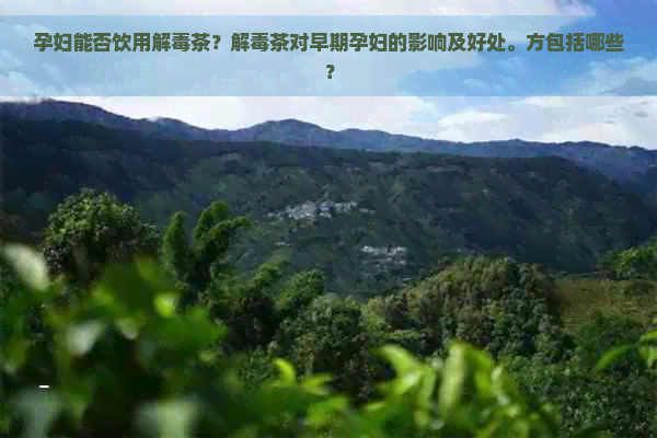 孕妇能否饮用解茶？解茶对早期孕妇的影响及好处。方包括哪些？