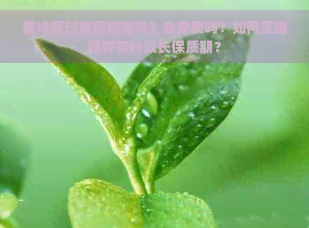 茶冷藏过夜后能喝吗？会变质吗？如何正确保存茶叶以长保质期？