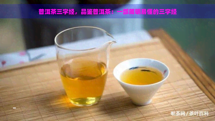 普洱茶三字经，品鉴普洱茶：一部简明易懂的三字经