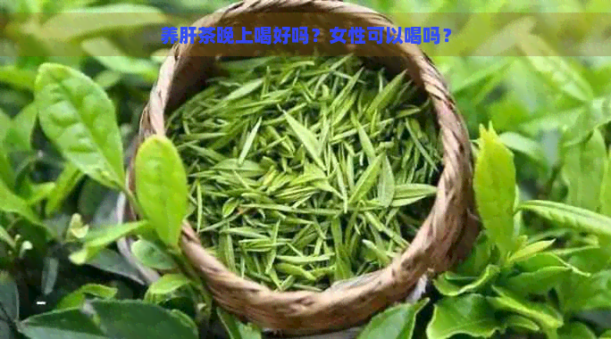 养肝茶晚上喝好吗？女性可以喝吗？