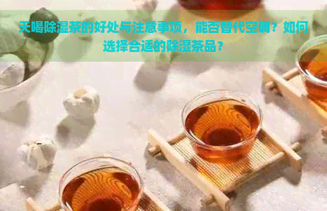 天喝除湿茶的好处与注意事项，能否替代空调？如何选择合适的除湿茶品？