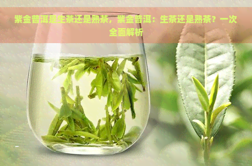 紫金普洱是生茶还是熟茶，紫金普洱：生茶还是熟茶？一次全面解析