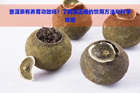 普洱茶有养胃功效吗？了解其正确的饮用方法与科学依据