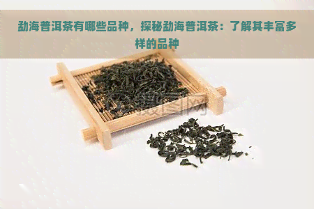 勐海普洱茶有哪些品种，探秘勐海普洱茶：了解其丰富多样的品种