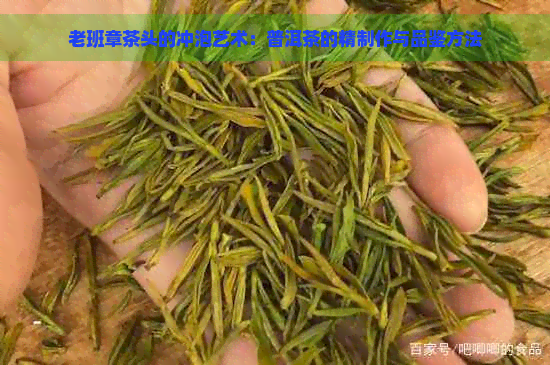 老班章茶头的冲泡艺术：普洱茶的精制作与品鉴方法