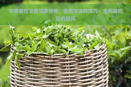 中茶老班章普洱茶价格、品质与选购技巧：全面解答您的疑问