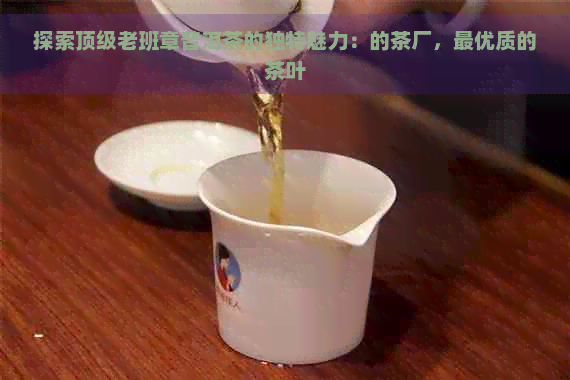 探索顶级老班章普洱茶的独特魅力：的茶厂，更优质的茶叶