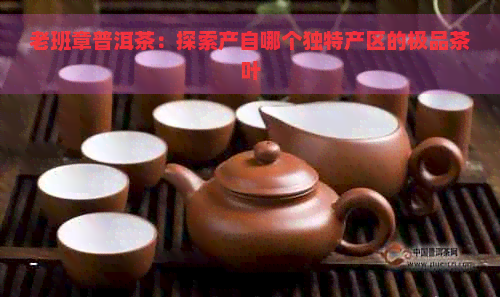 老班章普洱茶：探索产自哪个独特产区的极品茶叶