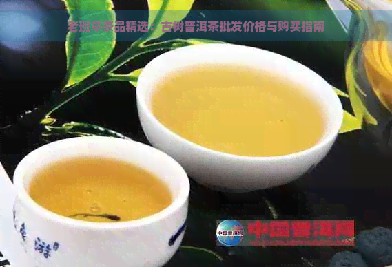 老班章茶品精选：古树普洱茶批发价格与购买指南