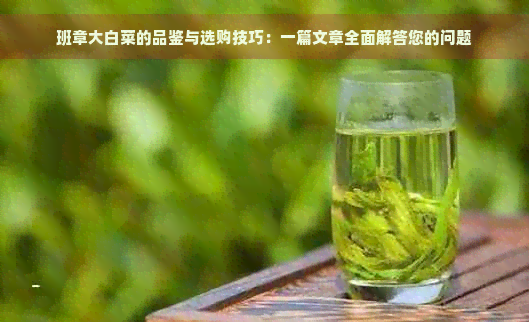 班章大白菜的品鉴与选购技巧：一篇文章全面解答您的问题