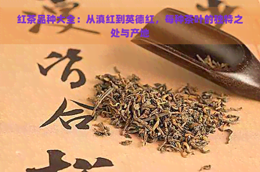 红茶品种大全：从滇红到英德红，每种茶叶的独特之处与产地