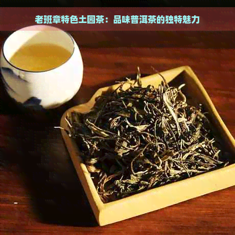 老班章特色土园茶：品味普洱茶的独特魅力