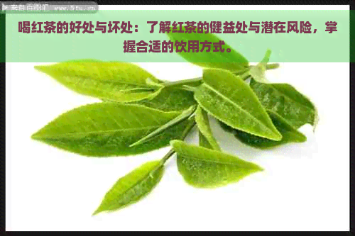 喝红茶的好处与坏处：了解红茶的健益处与潜在风险，掌握合适的饮用方式。