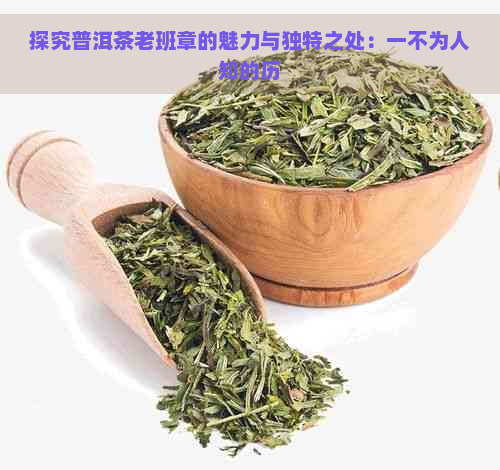 探究普洱茶老班章的魅力与独特之处：一不为人知的历