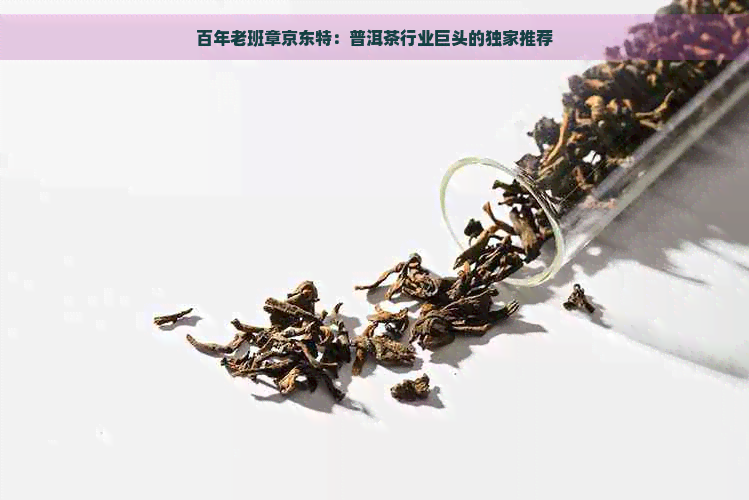 百年老班章京东特：普洱茶行业巨头的独家推荐