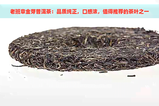 老班章金芽普洱茶：品质纯正，口感浓，值得推荐的茶叶之一