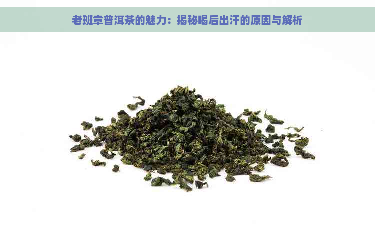 老班章普洱茶的魅力：揭秘喝后出汗的原因与解析