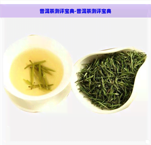 普洱茶测评宝典-普洱茶测评宝典