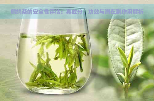 鹧鸪茶的安全性评估：其成分、功效与潜在副作用解析