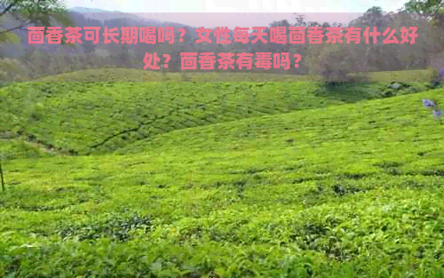 茴香茶可长期喝吗？女性每天喝茴香茶有什么好处？茴香茶有吗？