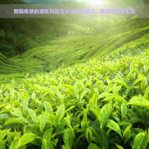 新隔夜茶的潜在风险与安全饮用建议，确保健喝茶无忧