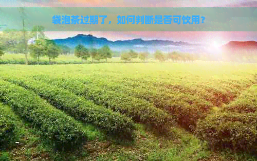 袋泡茶过期了，如何判断是否可饮用？