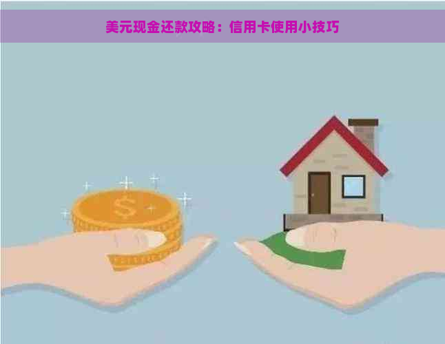 美元现金还款攻略：信用卡使用小技巧