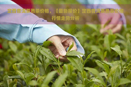 定西普洱茶熟茶价格，【最新报价】定西普洱茶熟茶价格行情走势分析