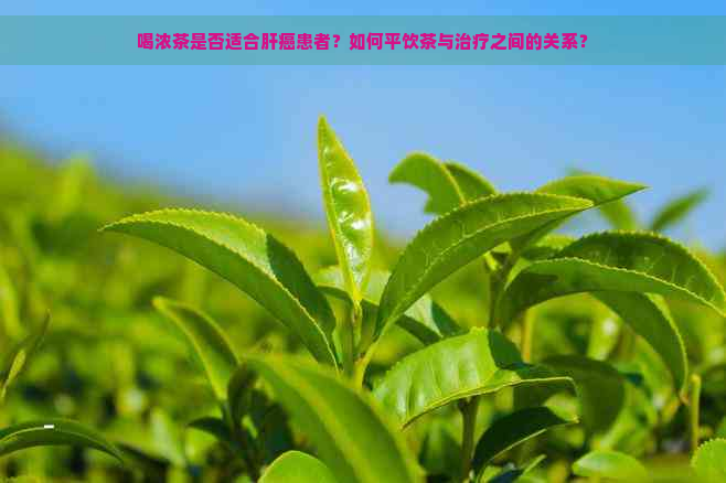 喝浓茶是否适合肝癌患者？如何平饮茶与治疗之间的关系？