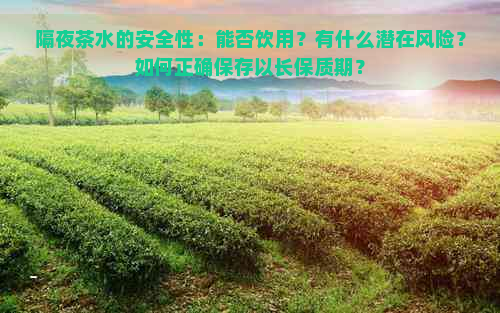 隔夜茶水的安全性：能否饮用？有什么潜在风险？如何正确保存以长保质期？