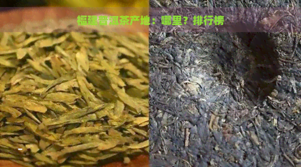 福建普洱茶产地：哪里？排行榜