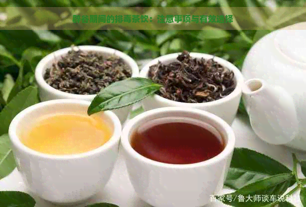 辟谷期间的排茶饮：注意事项与有效选择