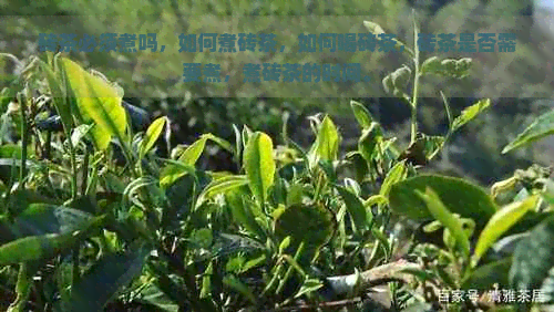 砖茶必须煮吗，如何煮砖茶，如何喝砖茶，砖茶是否需要煮，煮砖茶的时间。